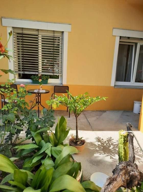 Ignim 2 Apartment Subotica Exterior photo